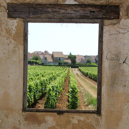 Window and Ruins in Beaune Cent Vignes Vineyard